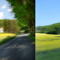 Rapsfelder für Geo-Spezial